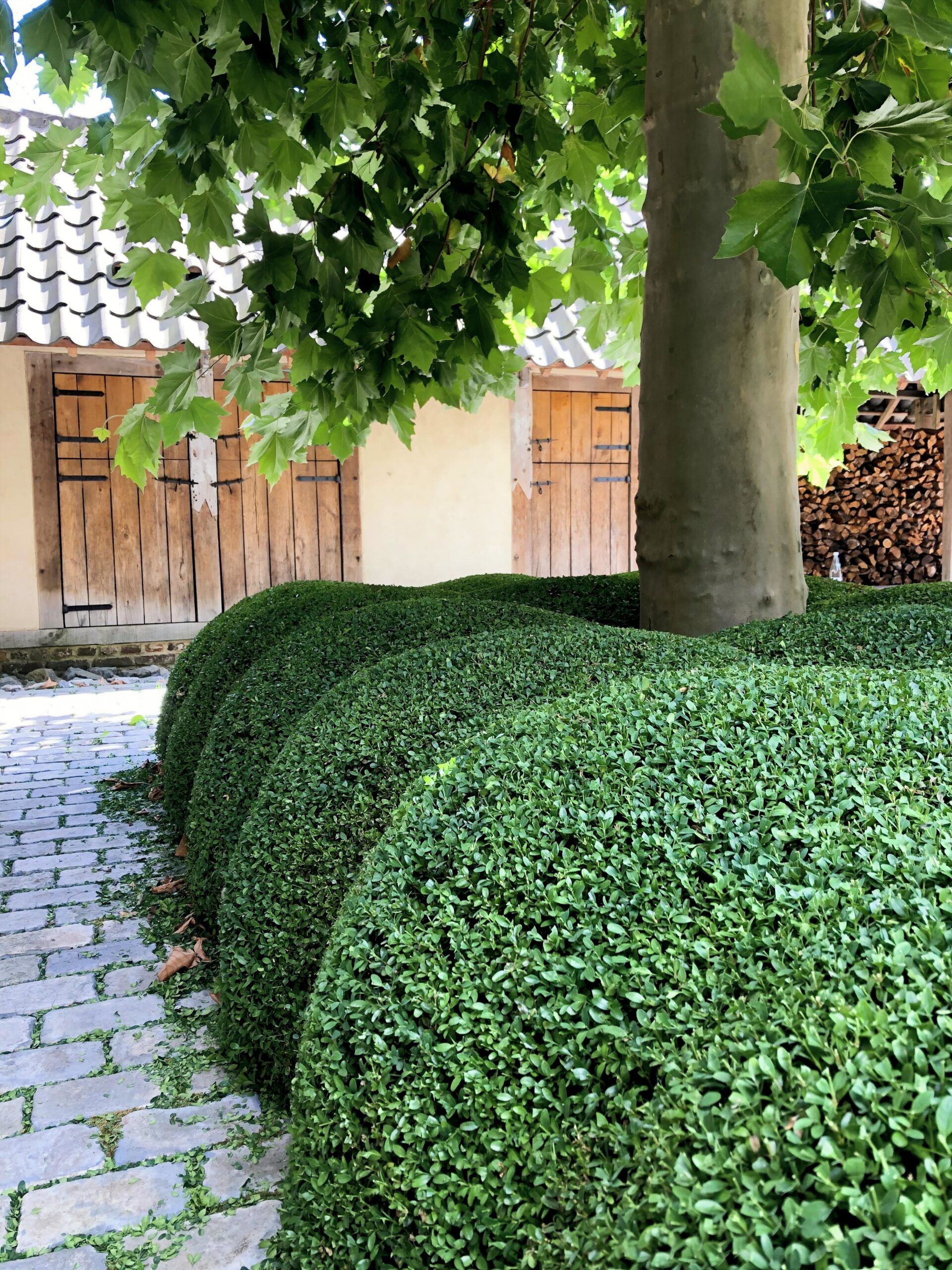 Architecturale tuin onderhouden door Artgreen