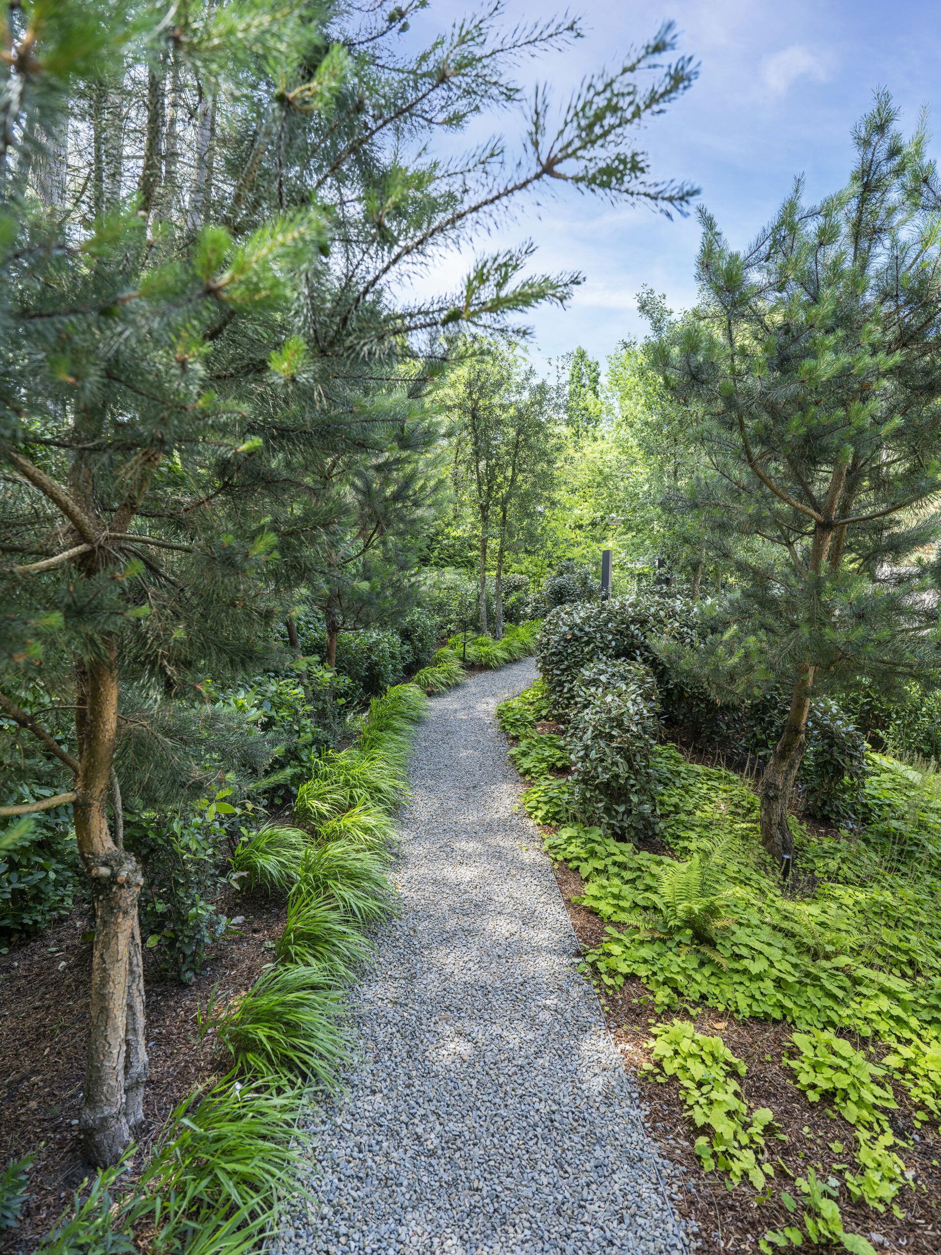 Architecturale tuin onderhouden door Artgreen