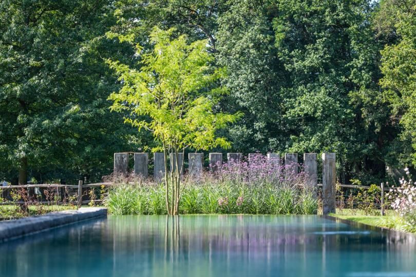 Architecturale tuin onderhouden door Artgreen