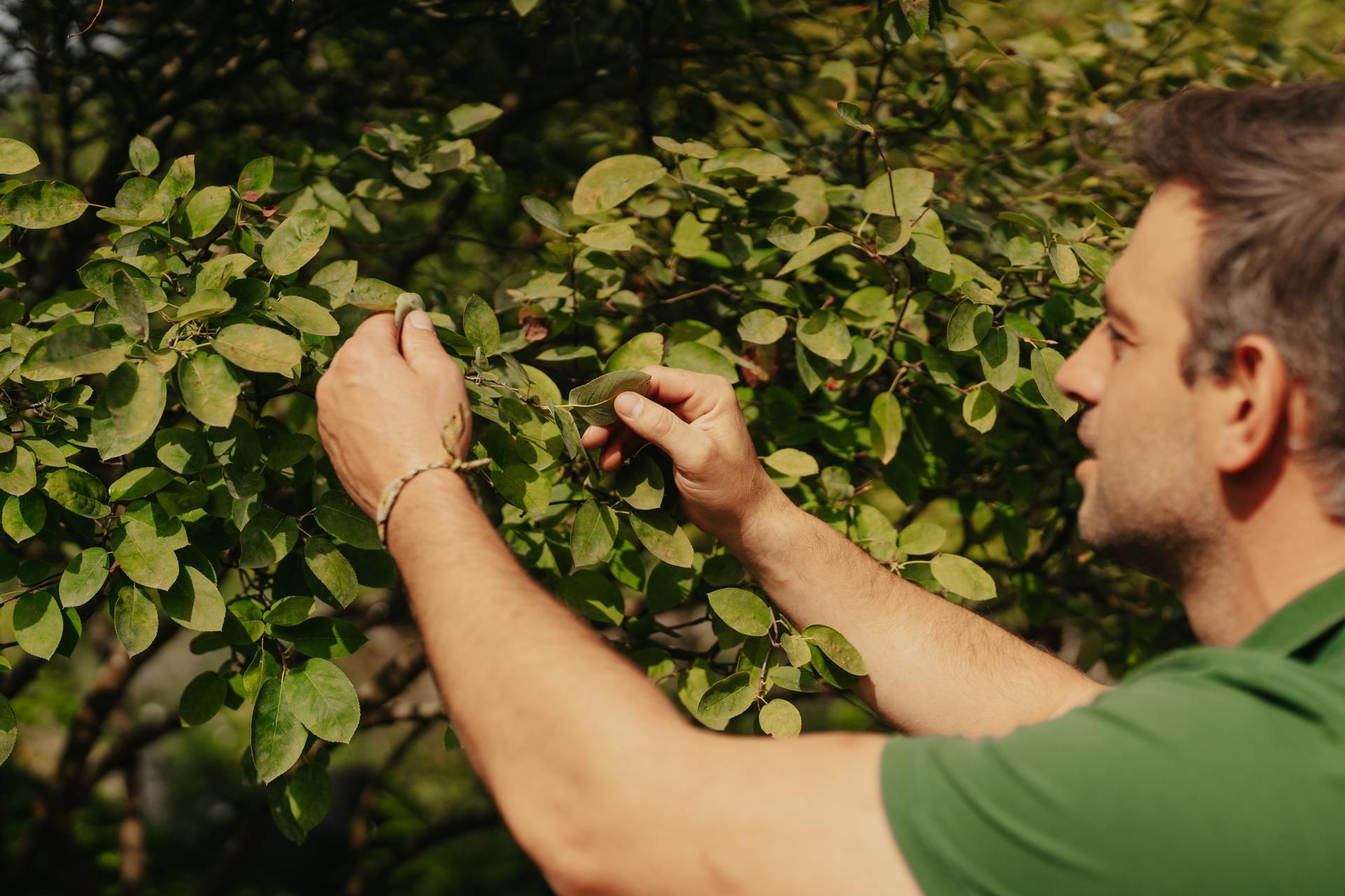 Tuinspecialist van Artgreen controleert de conditie van de beplanting