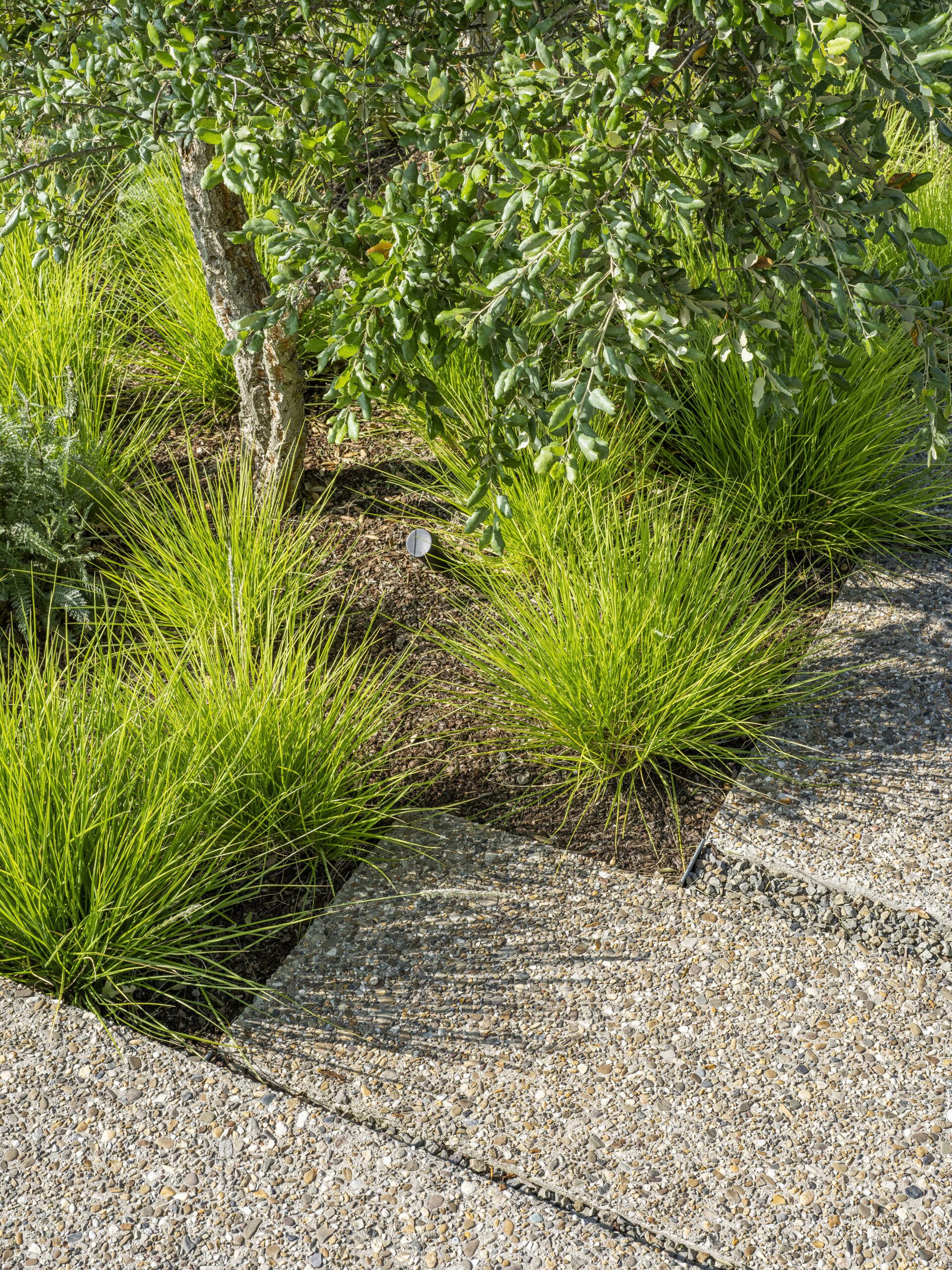 Architecturale tuin onderhouden door Artgreen