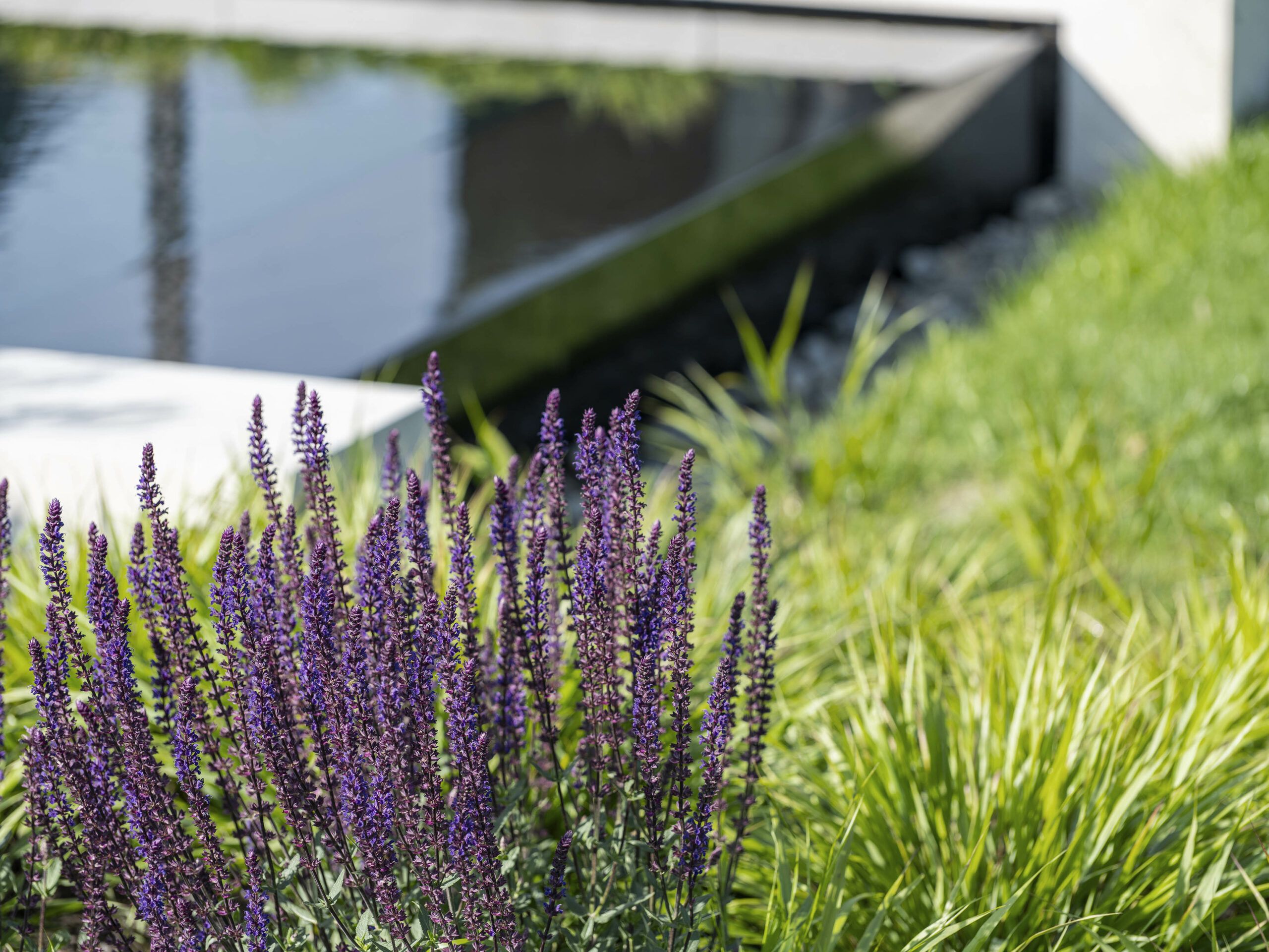 Tuinonderhoud door Artgreen