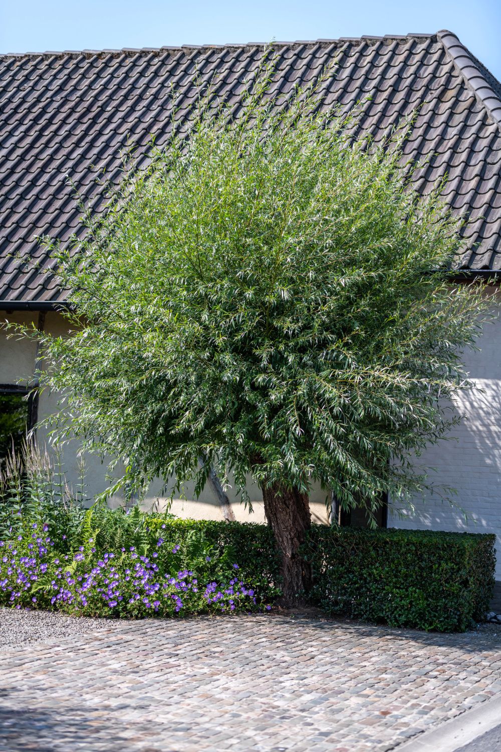 Architecturale tuin onderhouden door Artgreen