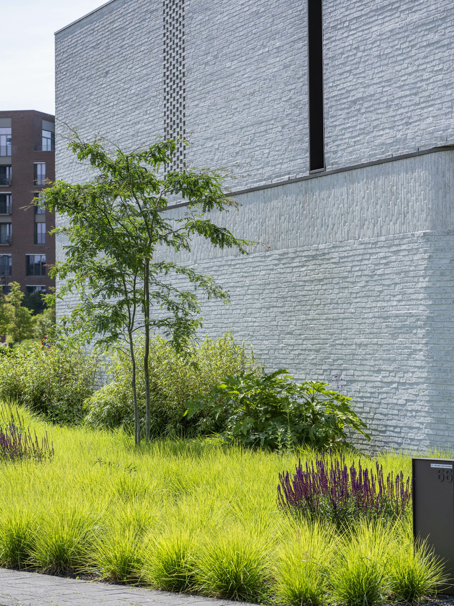 Architecturale tuin onderhouden door Artgreen
