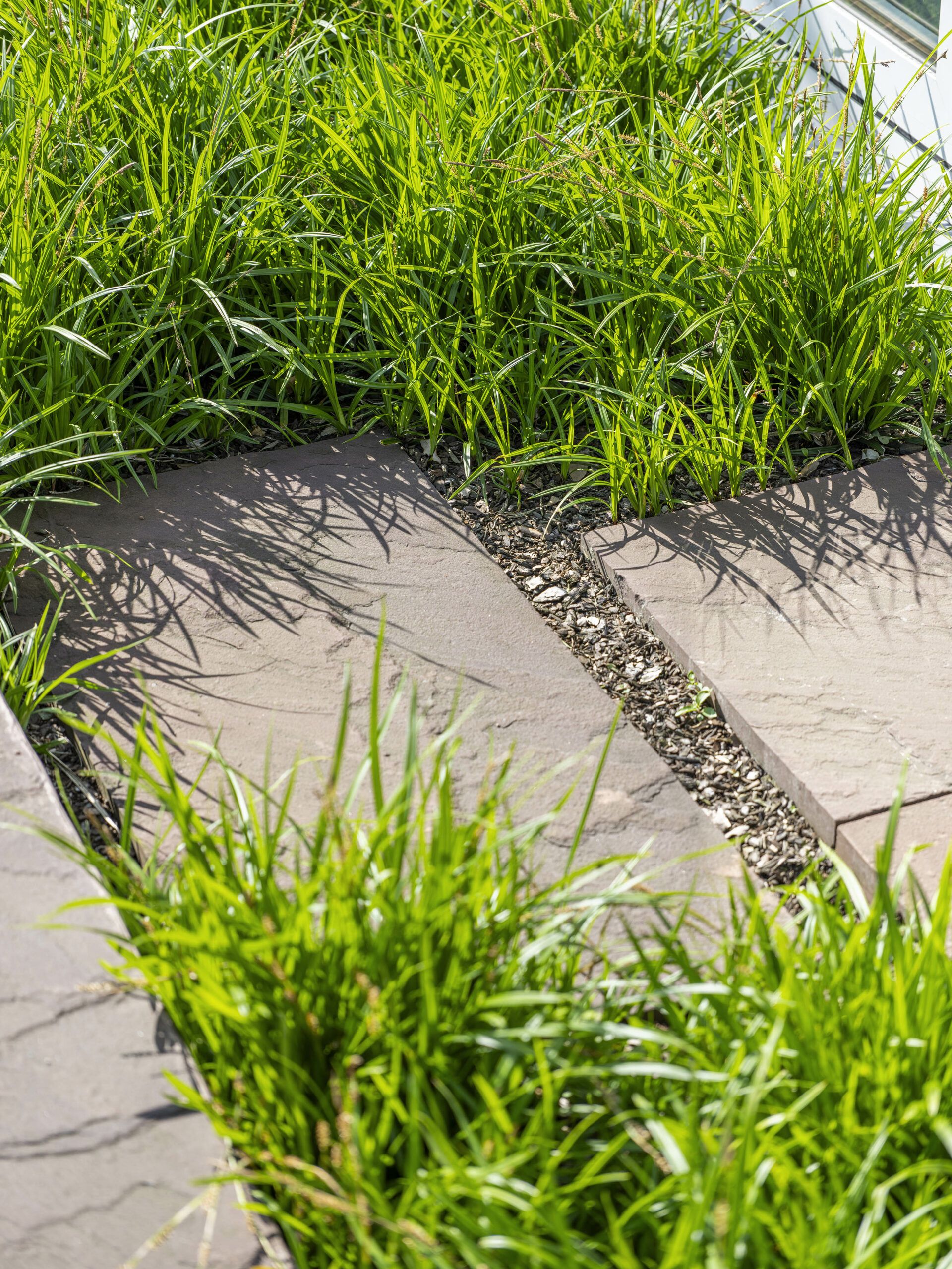 Architecturale tuin onderhouden door Artgreen